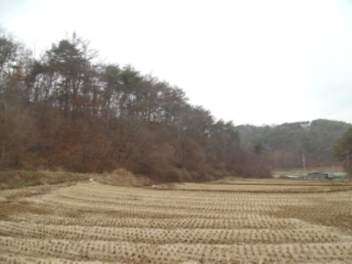 롯데쇼핑(주)롯데마트당진점 이미지
